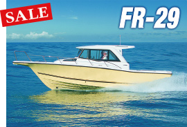 FR-29